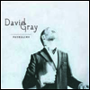 David Gray - Foundling (LP)