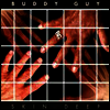 Buddy Guy - Skin Deep (LP)