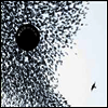 Wilco - Sky Blue Sky (2LP)