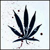 JJ - jj No. 2 (LP)