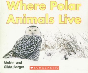 Where Polar Animals Live