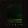 Clipd Beaks - To Realize (2LP)