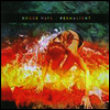 Rogue Wave - Permalight (LP)