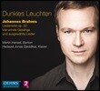 Martin Hensel 브람스: 가곡집 - 마르틴 헨젤, 헤다이트 디예디카르 (Dunkles Leuchten - Brahms: Liederreihe Op.32, Vier Ernste Gesange)