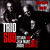 Sylvain Luc/Trio Sud - Young & Fine