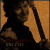 Steve Winwood - Nine Lives (2LP)