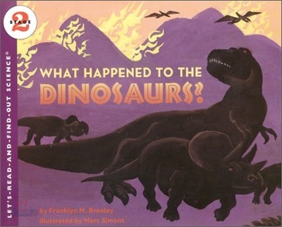 What Happened to the Dinosaurs?