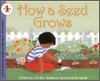 How a Seed Grows