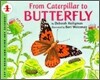 From Caterpillar to Butterfly
