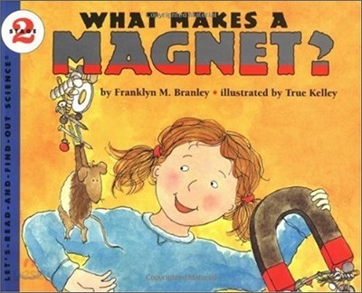 What Makes a Magnet?