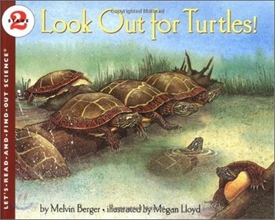 Look Out for Turtles!