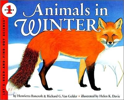 Animals in Winter