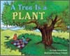 A Tree Is a Plant