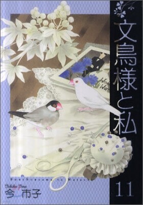 文鳥樣と私 11