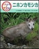 ニホンカモシカ