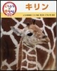 キリン