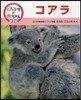 コアラ