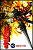 아일랜드 06