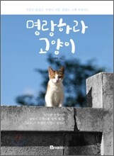 명랑하라 고양이