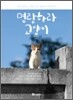 명랑하라 고양이