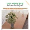 당신이 사랑하는 올드팝