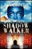 Shadow Walker: Neteru Academy Books