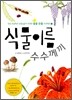 식물 이름 수수께끼