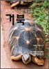 낮은 시선 느린 발걸음 거북