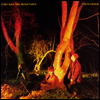 Echo & The Bunnymen - Crocodiles (LP)