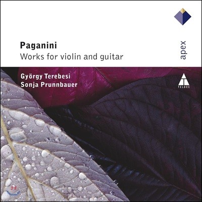 Gyorgy Terebesi 파가니니: 바이올린과 기타를 위한 작품집 - 죄르지 테레베시, 소냐 프룬바우어 (Paganini: Works for Violin and Guitar)