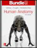 Human Anatomy