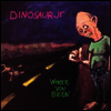 Dinosaur Jr. - Where You Been (LP)