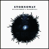 Stornoway - Beachcomber's Windowsill (LP)