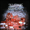 Male Bonding - Nothing Hurts (LP)
