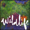 Headlights - Wildlife (LP)