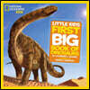 National Geographic Little Kids First Big Book of Dinosaurs