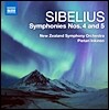 Pietari Inkinen 시벨리우스: 교향곡 4, 5번 (Sibelius: Symphonies Op.63, Op.82)