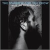 William Fitzsimmons - The Sparrow And The Crow