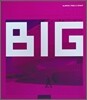 BIG Bjarke Ingels Group