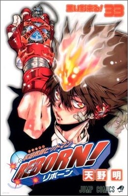 家庭敎師ヒットマンREBORN! 33