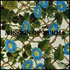 Mission Of Burma - Vs. (LP)