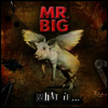 Mr. Big - What If... (LP)