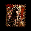 Steve Earle - Washington Square Serenade (LP)
