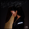 Bei Bei/Shawn Lee - Into the Wind (LP)