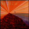 Gomez - New Tide (LP)