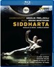 Ballet de L'Opera national de Paris 파리 국립 오페라 발레단의 `싯다르타` (Mantovani, B: Siddharta