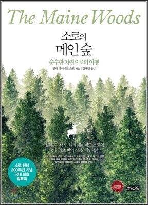 소로의 메인 숲