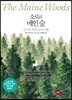 소로의 메인 숲