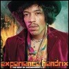Jimi Hendrix (지미 헨드릭스) - Experience Hendrix: The Best Of Jimi Hendrix [2 LP]