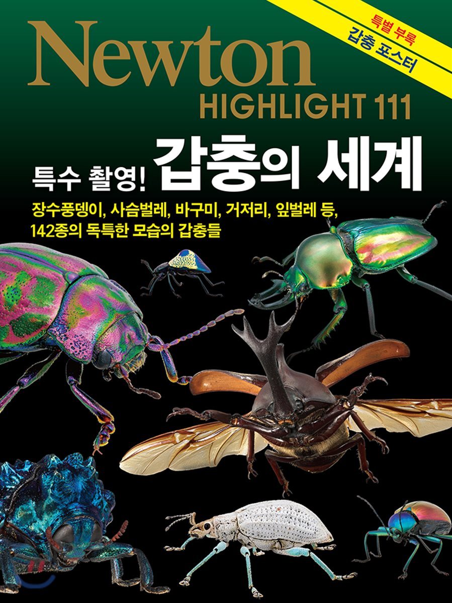 NEWTON HIGHLIGHT 뉴턴 하이라이트 갑충의 세계